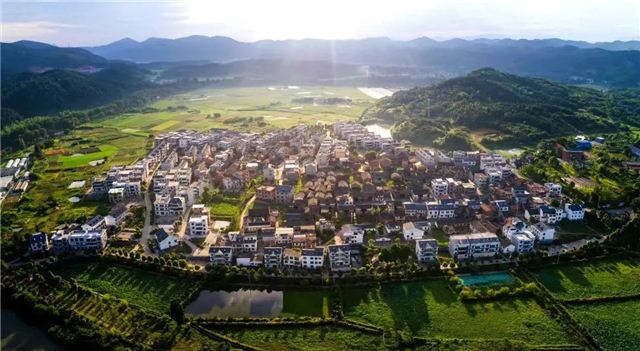 095742606352611_105.jpg 095742606352611_105.jpg