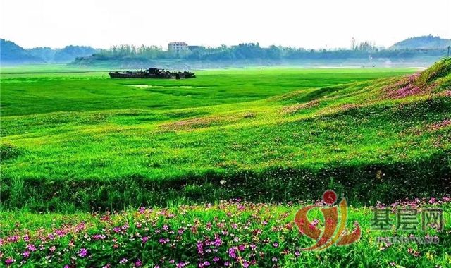 08432394014571699_75.jpg 08432394014571699_75.jpg