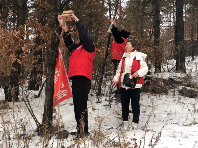 18565741823239545_121.jpg 18565741823239545_121.jpg