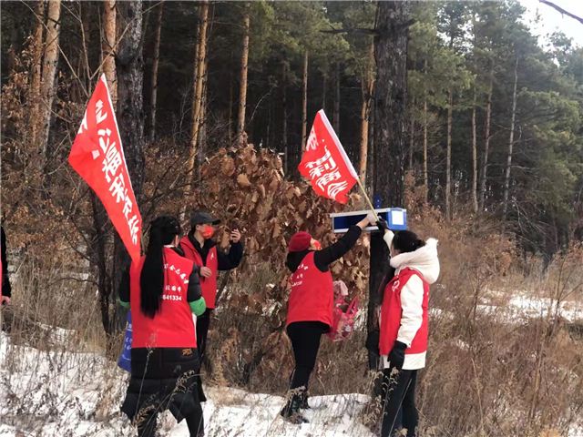 19174908645066668_121.jpg 19174908645066668_121.jpg