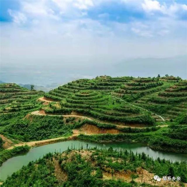 09484103657431017_75.jpg 09484103657431017_75.jpg