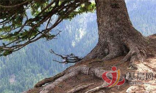 18200202675293646_75.jpg 18200202675293646_75.jpg