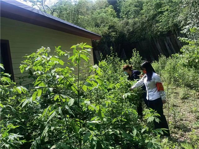 13115531926575385_106.jpg 13115531926575385_106.jpg