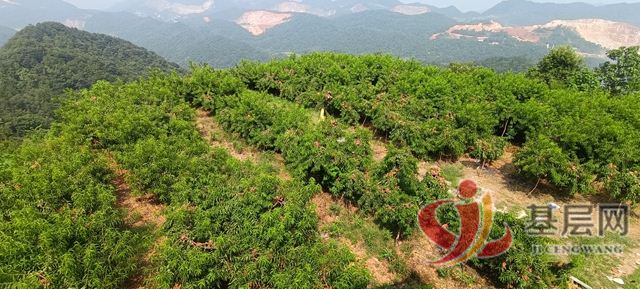 07162891448717887_75.jpg 07162891448717887_75.jpg