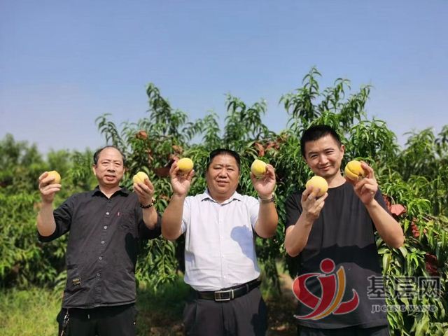 07164167522023544_75.jpg 07164167522023544_75.jpg