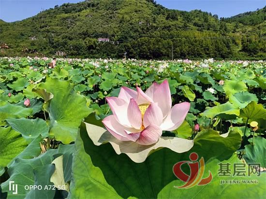 0025086785591927_92.jpg 0025086785591927_92.jpg