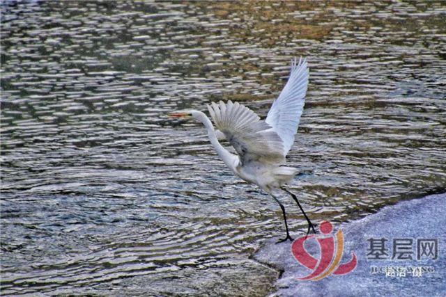 22493865109403797_68.jpg 22493865109403797_68.jpg