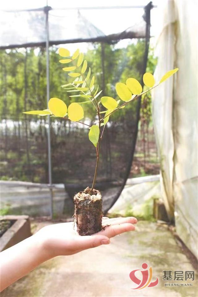 1010438957879397_42.jpg 1010438957879397_42.jpg