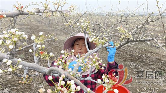 1138242565216322_42.jpg 1138242565216322_42.jpg