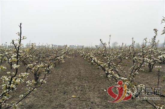 11505826824983537_42.jpg 11505826824983537_42.jpg