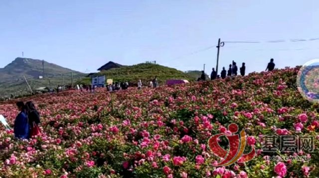 11432333245221916_75.jpg 11432333245221916_75.jpg