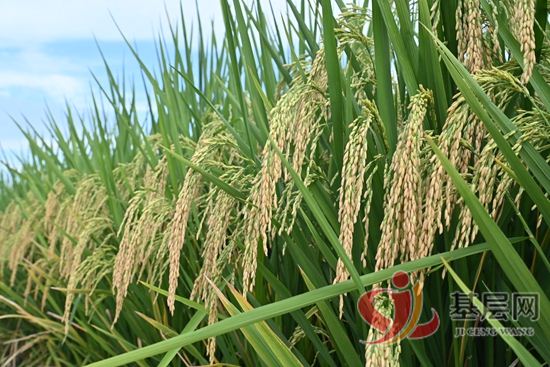 19134434937616846_92.jpg 19134434937616846_92.jpg