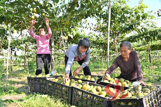 1453077511523431_92.jpg 1453077511523431_92.jpg