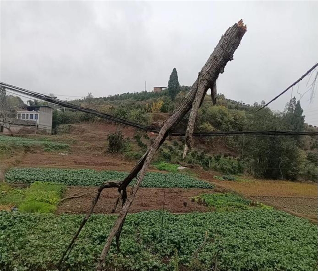 20473325185422175_110.png 20473325185422175_110.png