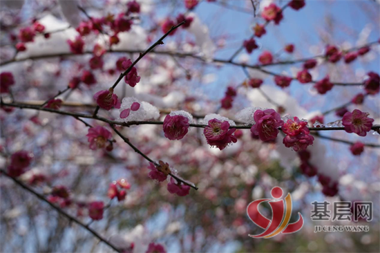 14032350864836957_92.png 14032350864836957_92.png