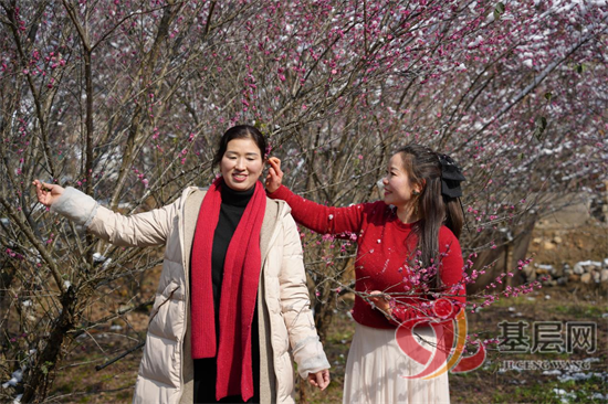 14044602046934472_92.png 14044602046934472_92.png