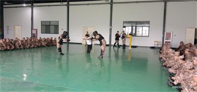 13430137844629907_133.jpg 13430137844629907_133.jpg