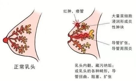 17334339482816640_103.jpg 17334339482816640_103.jpg