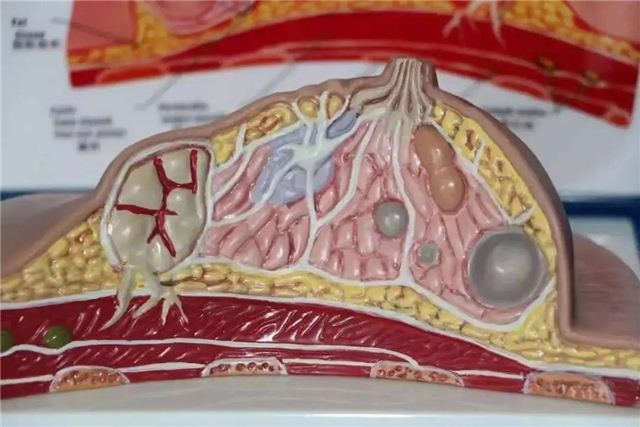 17335676409776384_103.jpg 17335676409776384_103.jpg