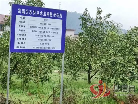 22353075526901161_92.jpg 22353075526901161_92.jpg