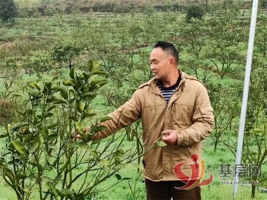 22355566849858384_92.jpg 22355566849858384_92.jpg