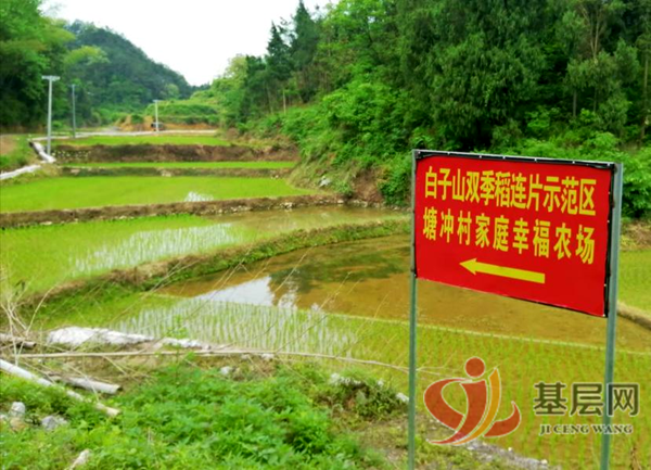 13140896536549144_75.png 13140896536549144_75.png