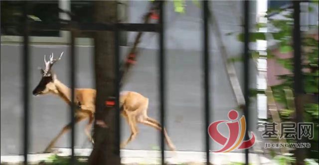 19424521756272930_68.jpg 19424521756272930_68.jpg