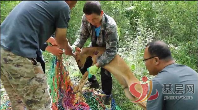 19430197203911538_68.jpg 19430197203911538_68.jpg