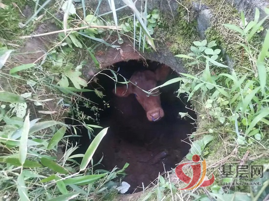 08350009442959769_92.png 08350009442959769_92.png