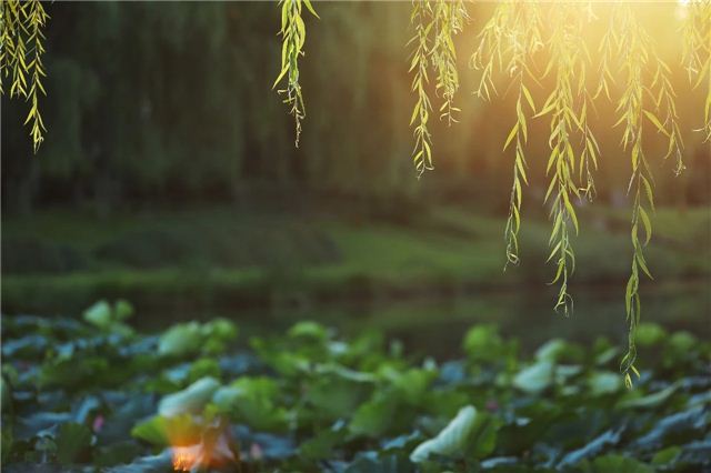 21120584051412356_103.jpg 21120584051412356_103.jpg