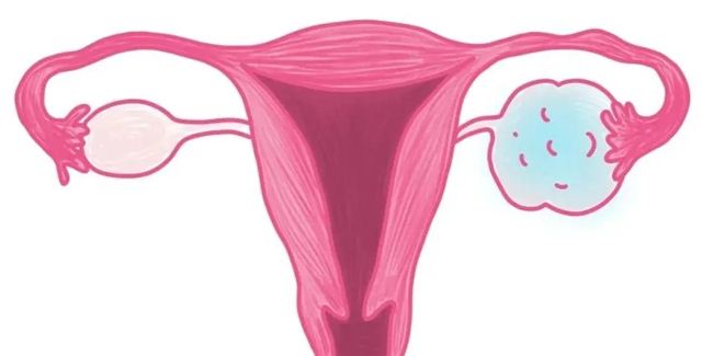 19050738577731541_103.jpg 19050738577731541_103.jpg