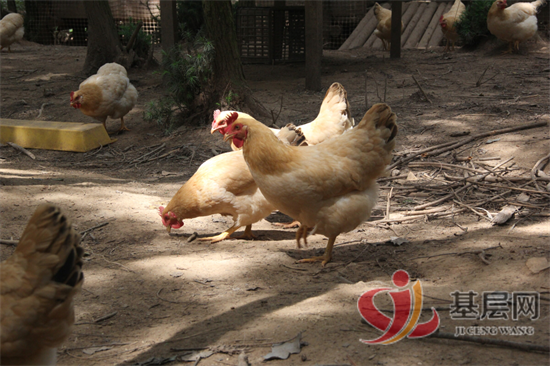 13352831715828078_92.png 13352831715828078_92.png