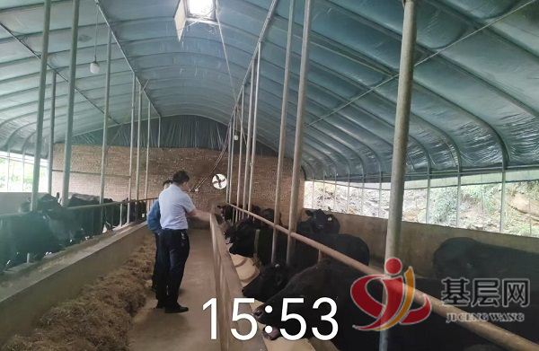 11540917551221054_75.jpg 11540917551221054_75.jpg