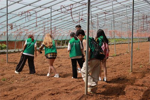 15150838586398746_7.jpg 15150838586398746_7.jpg