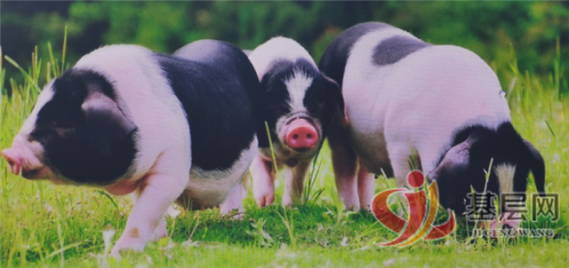 11510544293185168_137.png 11510544293185168_137.png