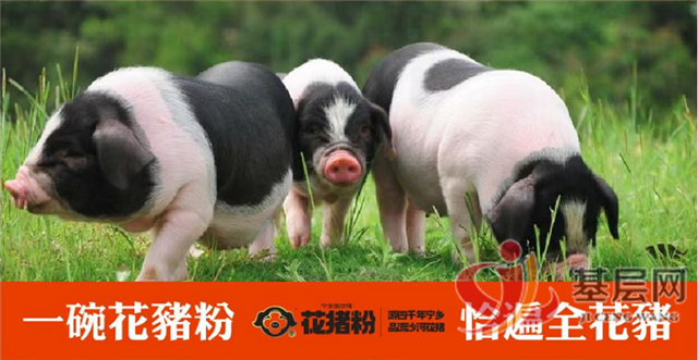 11513433419287644_137.png 11513433419287644_137.png