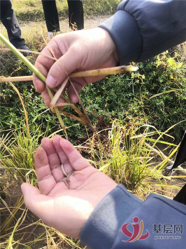 13093319652152142_137.jpg 13093319652152142_137.jpg