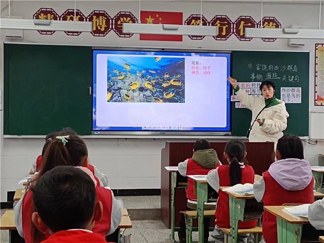 2251190747659129_110.jpg 2251190747659129_110.jpg